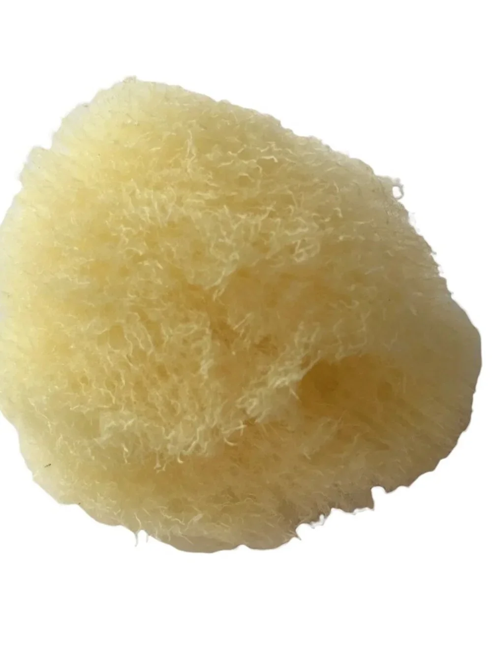Baudelaire Silk Sea Sponge, New, Small, One Sponge